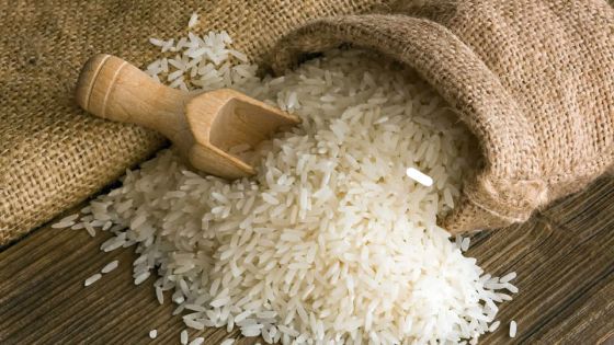 Sécheresse en Inde - Riz basmati: hausse de prix allant jusqu’à 20%