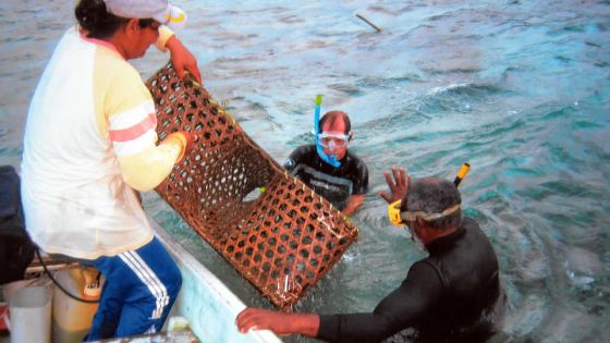 Pêcheuses au casier: Vivre des fruits de la mer