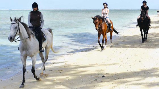 Centre Equestre de Riambel: Live a memorable horse riding experience