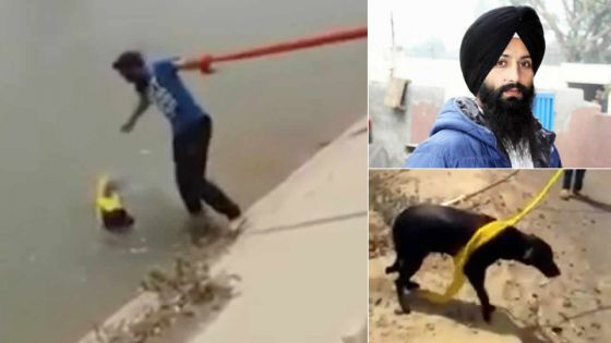 Un Indien sauve un chien de la noyade avec son turban