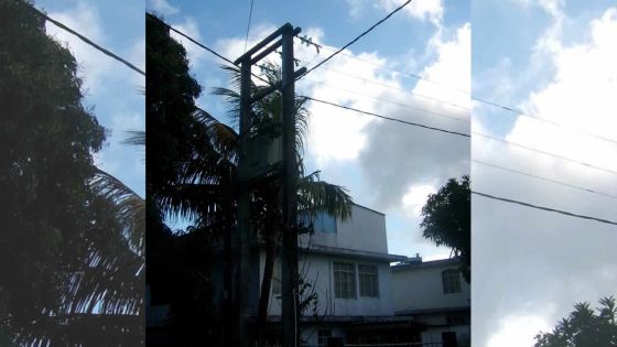 Bel-Air-Rivière-Sèche: un fil électrique traverse sa propriété sans son accord