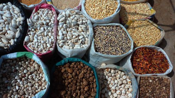 Sécheresse en Inde: les grains secs coûteront plus cher