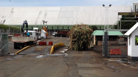 Cannes: la fermeture des ‘balances’ menace la bourse des petits planteurs