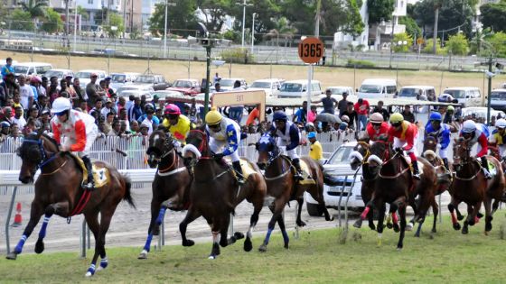 Hippisme : les pronostics de la 15e journée