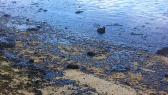 MV Benita: le lagon du Bouchon pollué