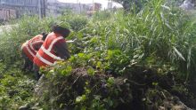 À Curepipe : la mairie sur les traces des propriétaires de terrains en friche