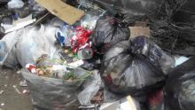 À Camp Chapelon : le service de ramassage d’ordures décrié les jours fériés
