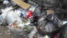 Respect de l’environnement : la mairie de Port-Louis traque les pollueurs