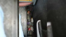 Un manque d’hygiène déplorable dans nos autobus