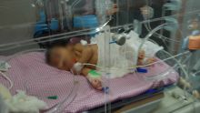 Taux «alarmant» de décès de nourrissons : les sept causes probables
