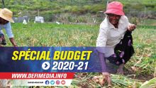 Budget 2020-2021 : un National Agri Food Development Program annoncé