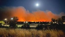 L’Australie en proie aux flammes - Cindy Atchia Lindor : «Nous avons eu très peur»