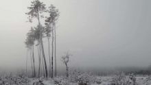 Bulgarie : des tempêtes de neige bloquent le nord-est