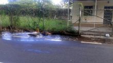 Tuyau endommagé - Mala : «Ma cour s’est transformée en rivière»