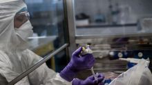 Coronavirus : un labo français à la recherche d'un traitement parmi les médicaments existants