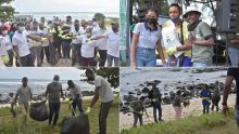 Opération de nettoyage organisée par Le Défi Media Group : la plage de Pointe-aux-Piments respire
