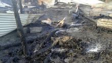 Incendie accidentel à Petit-Raffray : une trentaine de chèvres brûlées vives dans une étable