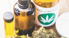 Cannabis médical : pas de nouvelles requêtes pour l’heure