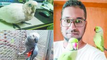 Ismaïl Abdool : l’homme qui murmure à l’oreille des oiseaux