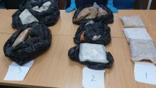 Saisie de Rs 350 M d’héroïne à Sainte-Croix : l’Adsu soupçonne que la drogue était cachée sous terre
