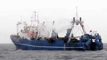 Pêche : subvention de 50 % sur l'achat d'embarcations
