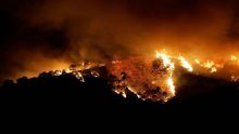 Espagne : 2 000 personnes évacuées en raison d'un violent incendie dans le sud 