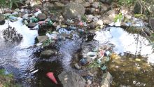 Interdiction du plastique à usage unique : incompréhension, polémique et frustrations