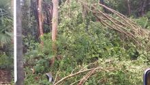 Rodrigues : les premiers dégâts sont importants après le passage du cyclone tropical intense Joaninha