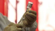 L’OMS suspend son approvisionnement de Covaxin : aucun risque  pour les 100 000 personnes déja vaccinées