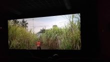 Festival Sinema : projections gratuites des films locaux