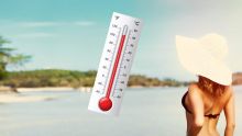 Hot summer season : cautionary measures to tackle the heat 