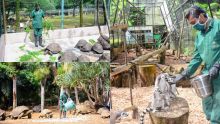 La Vanille Nature Park : les animaux aux petits soins malgré le confinement des hommes