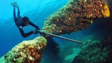 Activité illicite : le ministère de la Pêche traque les pêcheurs sous-marins