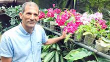 À Highlands : l’orchidélire de Jean-Luc Jafarally