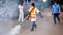 Dengue : les employés du département LEU de l'Environnement au travail ce lundi