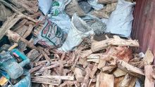 Saisie à Dagotière : la provenance du bois de santal stocké dans un conteneur intéresse la police