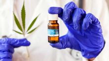 Cannabis médical : un nouveau créneau à fort potentiel économique pour Maurice 