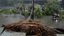Au moins 10 morts au passage d'un cyclone dans le sud de l'Inde