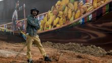 Un graffeur brésilien peint «le plus grand graffiti du monde»