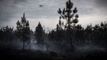 Incendie en Gironde: progression ralentie pendant la nuit, 3 500 hectares brûlés