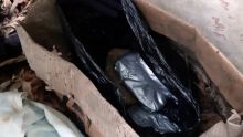 Saisie de Rs 62 millions d’héroïne à Baie-du-Tombeau : les enquêteurs s’affairent pour remonter jusqu’aux trafiquants