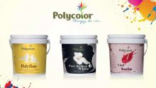 Entreprise : polytol Paints Ltd effectue de gros investissements cette année 