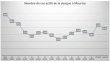 Épidémie de fièvre dengue : 300 nouveaux cas chaque semaine 