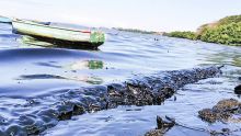 Trois ans après le naufrage du MV Wakashio : difficultés économiques et problèmes de santé perdurent