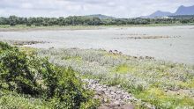 Pénurie d’eau : le potentiel inexploité du captage individuel