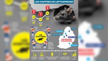 Leptospirose : cinq décès enregistrés