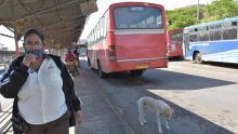 Gare de Cité Vallijee : deux receveuses d’autobus victimes de morsures de chiens errants