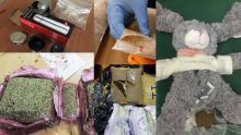 Trafic de stupéfiants: saisie d’un demi-milliard de roupies de drogue en un mois