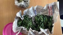 Du cannabis découvert sur un collégien de 14 ans à la gare du Nord