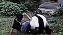 On a retrouvé Kung Fu Panda dans un zoo en Chine